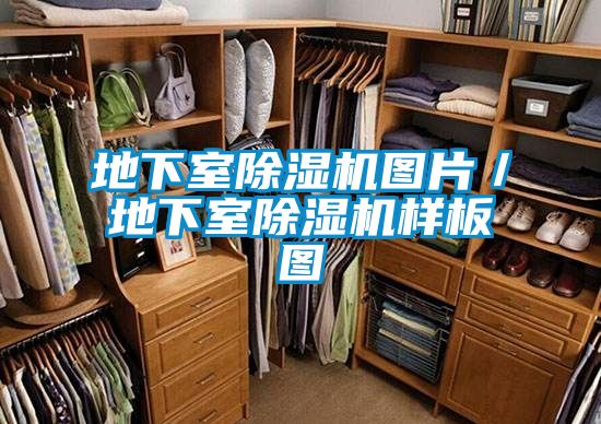 地下室除濕機(jī)圖片/地下室除濕機(jī)樣板圖