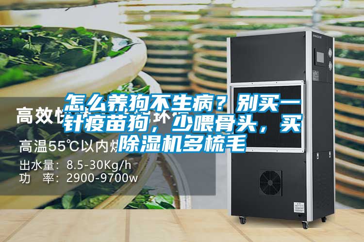 怎么養(yǎng)狗不生??？別買一針疫苗狗，少喂骨頭，買除濕機(jī)多梳毛