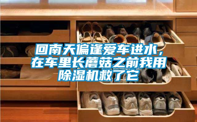 回南天偏逢愛車進(jìn)水,在車?yán)镩L(zhǎng)蘑菇之前我用除濕機(jī)救了它