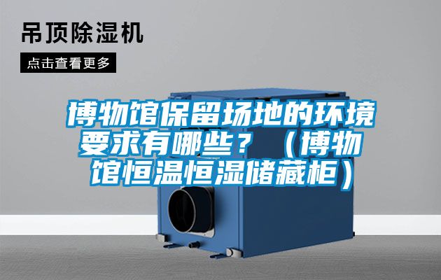博物館保留場地的環境要求有哪些？（博物館恒溫恒濕儲藏柜）