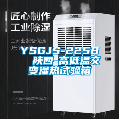 YSGJS-225B 陜西-高低溫交變濕熱試驗(yàn)箱