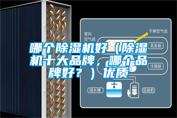 哪個除濕機好(除濕機十大品牌,哪個品牌好?)優(yōu)質(zhì)