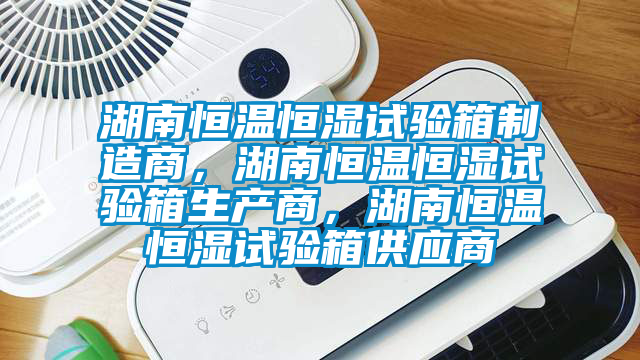 湖南恒溫恒濕試驗箱制造商，湖南恒溫恒濕試驗箱生產商，湖南恒溫恒濕試驗箱供應商