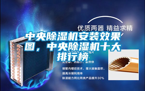 中央除濕機安裝效果圖,中央除濕機十大排行榜