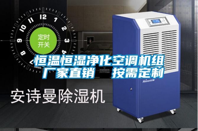 恒溫恒濕凈化空調(diào)機(jī)組 廠家直銷 按需定制