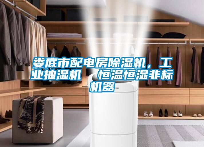 婁底市配電房除濕機(jī),工業(yè)抽濕機(jī) 恒溫恒濕非標(biāo)機(jī)器