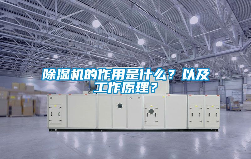 除濕機(jī)的作用是什么？以及工作原理？