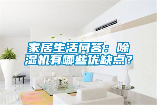 家居生活問答:除濕機有哪些優(yōu)缺點?