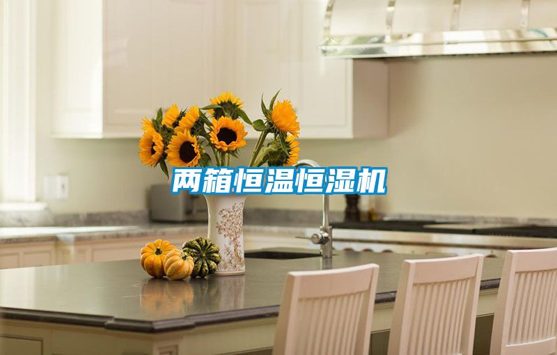兩箱恒溫恒濕機(jī)