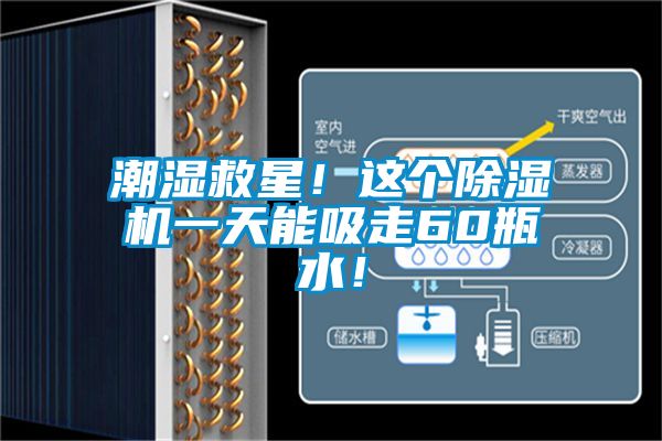潮濕救星！這個除濕機一天能吸走60瓶水！
