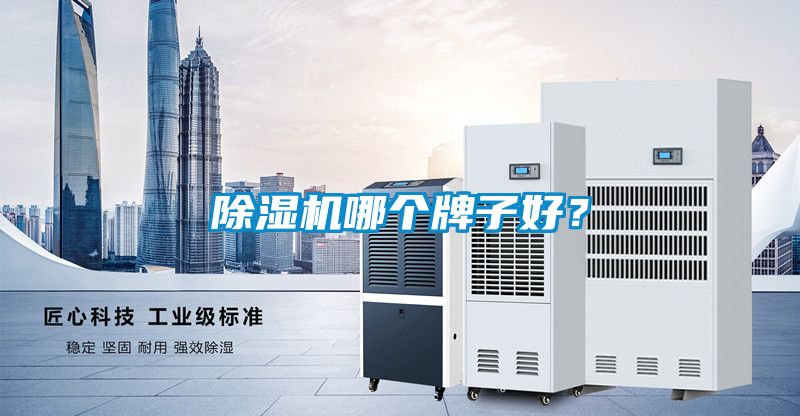 除濕機哪個牌子好？