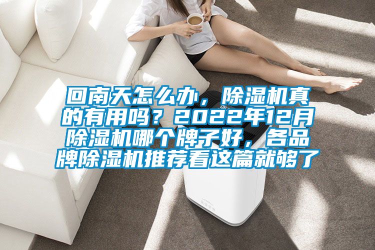 回南天怎么辦,除濕機真的有用嗎?2022年12月除濕機哪個牌子好,各品牌除濕機推薦看這篇就夠了