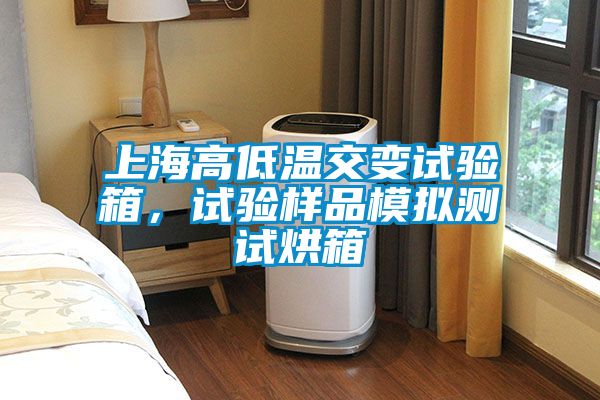 上海高低溫交變試驗箱,試驗樣品模擬測試烘箱