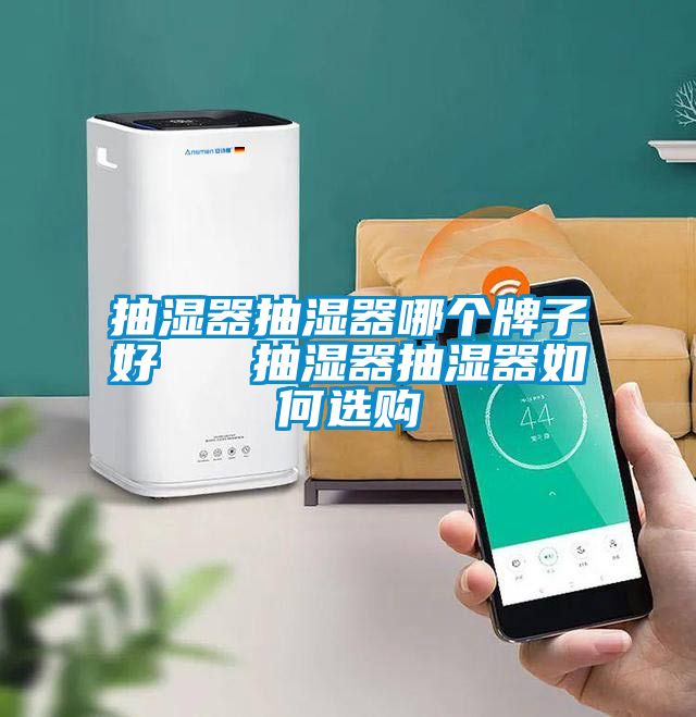 抽濕器抽濕器哪個(gè)牌子好 抽濕器抽濕器如何選購