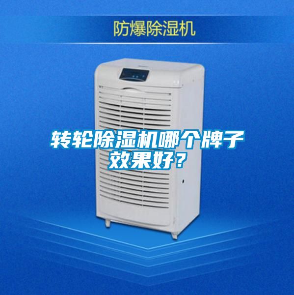 轉(zhuǎn)輪除濕機(jī)哪個牌子效果好？