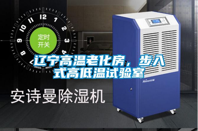 遼寧高溫老化房，步入式高低溫試驗室