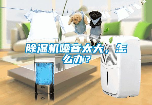 除濕機噪音太大，怎么辦？
