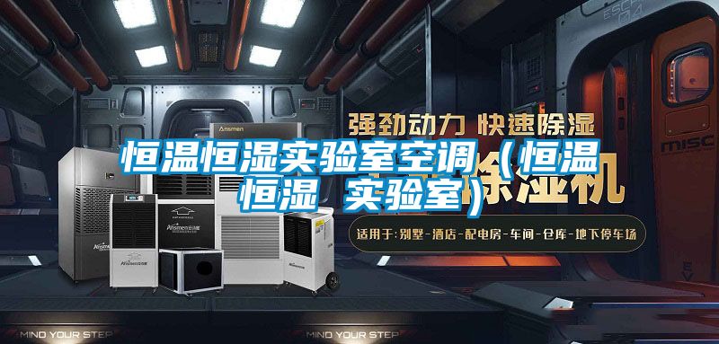 恒溫恒濕實驗室空調(diào)(恒溫恒濕 實驗室)