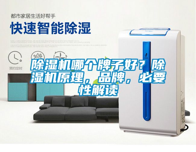除濕機哪個牌子好？除濕機原理，品牌，必要性解讀
