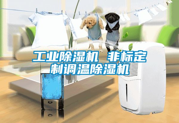 工業(yè)除濕機 非標定制調溫除濕機
