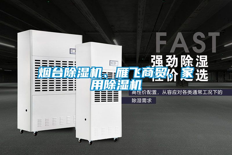 煙臺除濕機、雁飛商貿(mào)、家用除濕機