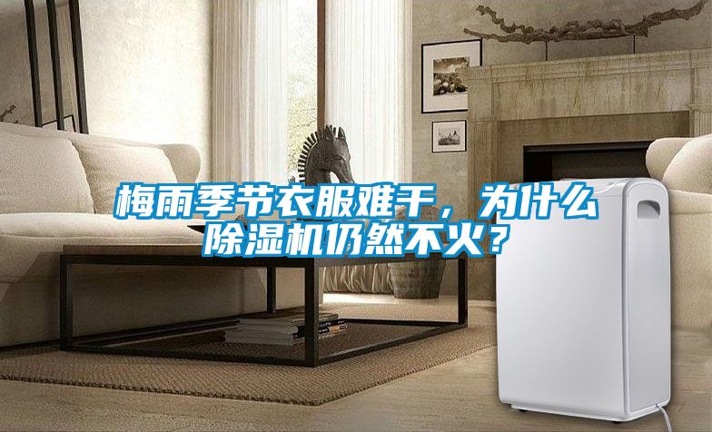 梅雨季節(jié)衣服難干，為什么除濕機(jī)仍然不火？