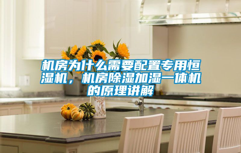 機(jī)房為什么需要配置專用恒濕機(jī),機(jī)房除濕加濕一體機(jī)的原理講解