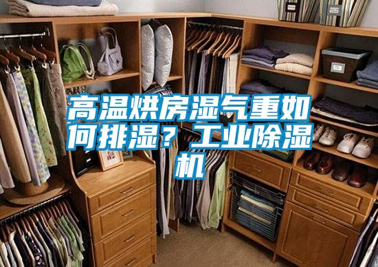 高溫烘房濕氣重如何排濕?工業(yè)除濕機