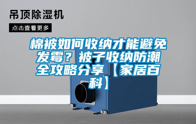 棉被如何收納才能避免發霉?被子收納防潮全攻略分享【家居百科】