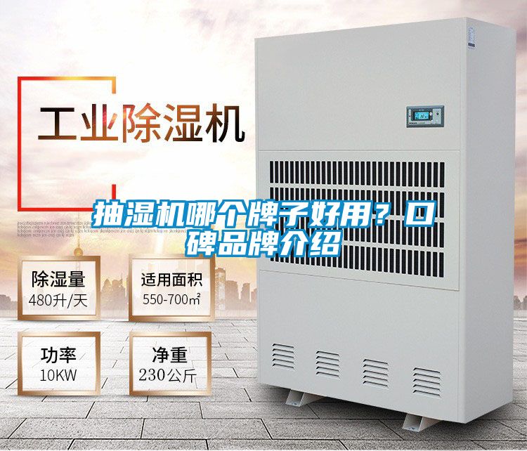 抽濕機哪個牌子好用？口碑品牌介紹