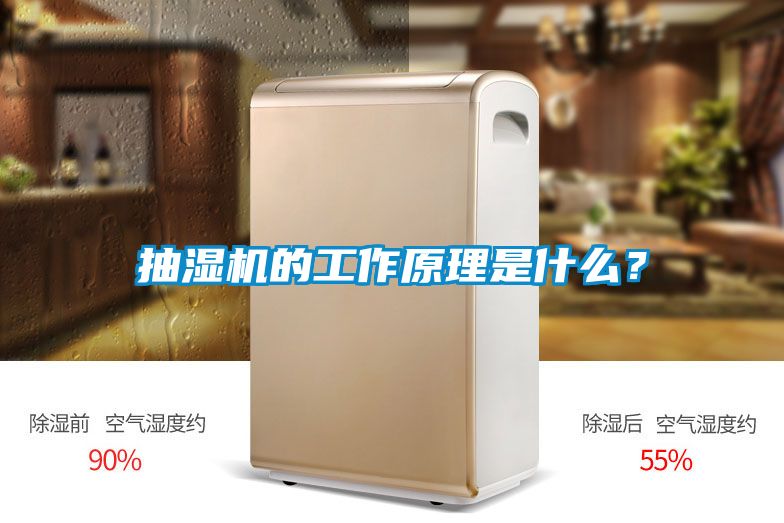 抽濕機的工作原理是什么？