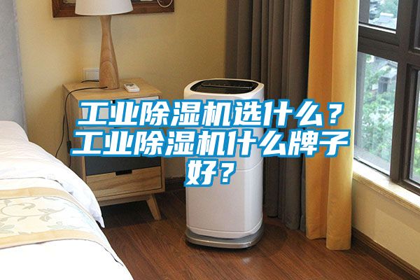 工業除濕機選什么?工業除濕機什么牌子好?
