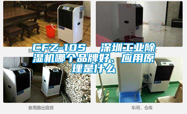 CFZ-10S 深圳工業(yè)除濕機哪個品牌好、應用原理是什么